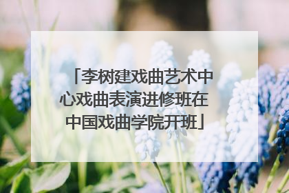 李树建戏曲艺术中心戏曲表演进修班在中国戏曲学院开班