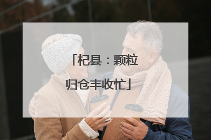杞县：颗粒归仓丰收忙