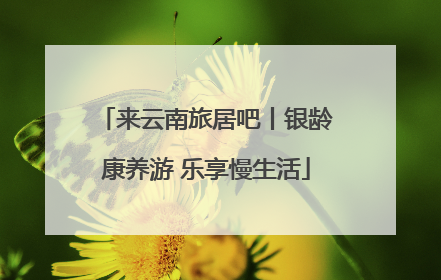来云南旅居吧丨银龄康养游 乐享慢生活