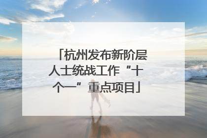 杭州发布新阶层人士统战工作“十个一”重点项目