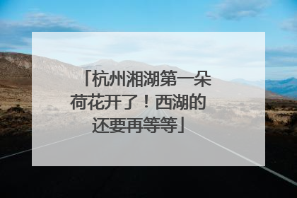 杭州湘湖第一朵荷花开了！西湖的还要再等等