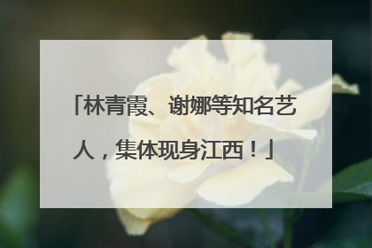 林青霞、谢娜等知名艺人，集体现身江西！