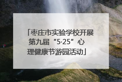 枣庄市实验学校开展第九届“5·25”心理健康节游园活动