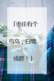 枣庄有个鸟岛，白鹭成群！