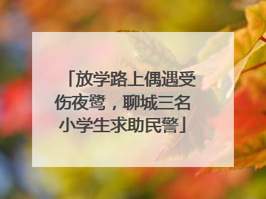 放学路上偶遇受伤夜鹭，聊城三名小学生求助民警