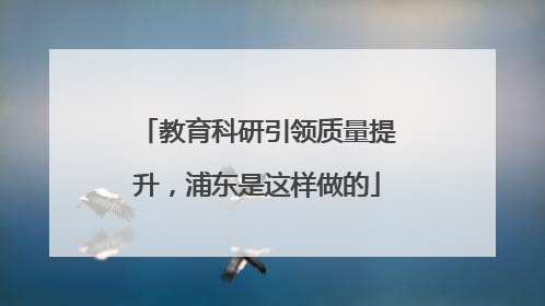 教育科研引领质量提升，浦东是这样做的