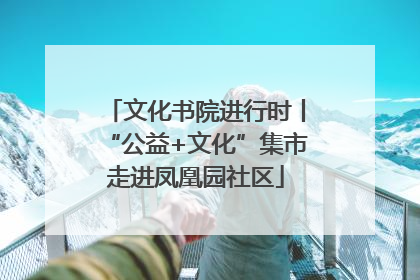 文化书院进行时丨“公益+文化”集市走进凤凰园社区