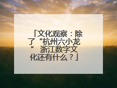 文化观察：除了“杭州六小龙” 浙江数字文化还有什么？