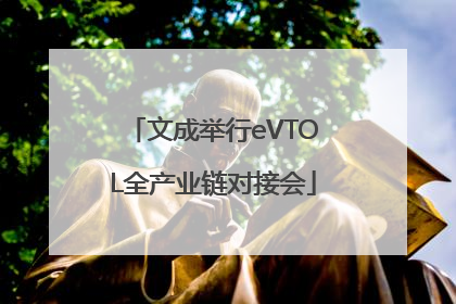 文成举行eVTOL全产业链对接会
