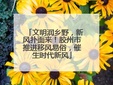 文明润乡野，新风扑面来！胶州市推进移风易俗，催生时代新风
