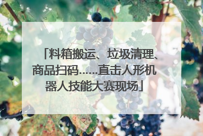 料箱搬运、垃圾清理、商品扫码……直击人形机器人技能大赛现场