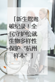 新生鸳鸯破纪录！全民守护绘就生物多样性保护“杭州样本”