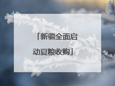 新疆全面启动夏粮收购