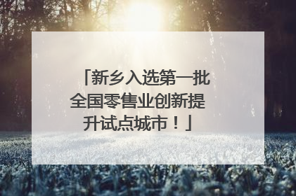 新乡入选第一批全国零售业创新提升试点城市！