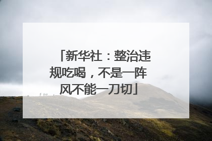 新华社：整治违规吃喝，不是一阵风不能一刀切