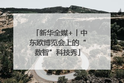 新华全媒+丨中东欧博览会上的“数智”科技秀