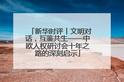 新华时评丨文明对话，互鉴共生——中欧人权研讨会十年之路的深刻启示