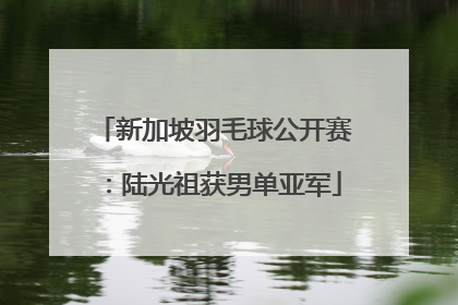 新加坡羽毛球公开赛：陆光祖获男单亚军