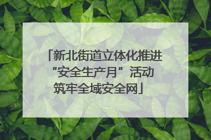 新北街道立体化推进“安全生产月”活动 筑牢全域安全网
