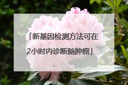 新基因检测方法可在2小时内诊断脑肿瘤