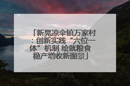 新晃凉伞镇万家村：创新实践“六位一体”机制 绘就粮食稳产增收新图景