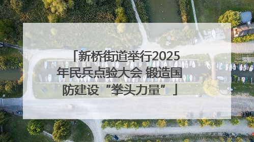 新桥街道举行2025年民兵点验大会 锻造国防建设“拳头力量”