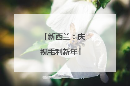 新西兰：庆祝毛利新年