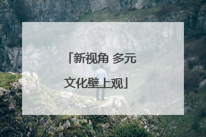 新视角 多元文化壁上观