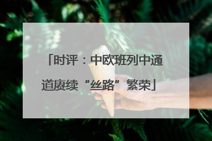 时评：中欧班列中通道赓续“丝路”繁荣