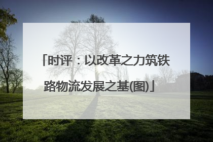 时评：以改革之力筑铁路物流发展之基(图)