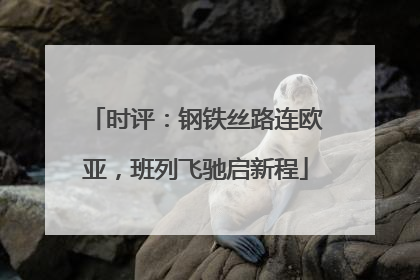 时评：钢铁丝路连欧亚，班列飞驰启新程