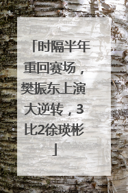 时隔半年重回赛场，樊振东上演大逆转，3比2徐瑛彬