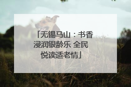 无锡马山：书香浸润银龄乐 全民悦读适老情