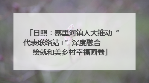 日照：寨里河镇人大推动“代表联络站+”深度融合——绘就和美乡村幸福画卷