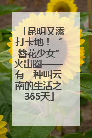 昆明又添打卡地！“簪花少女”火出圈——有一种叫云南的生活之365天