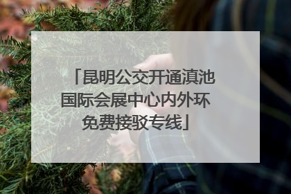 昆明公交开通滇池国际会展中心内外环免费接驳专线