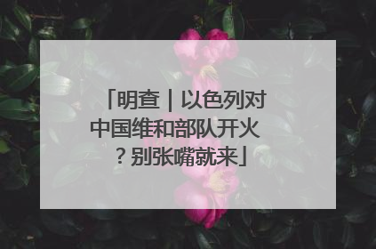 明查｜以色列对中国维和部队开火？别张嘴就来