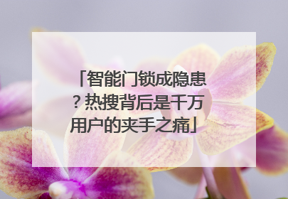 智能门锁成隐患？热搜背后是千万用户的夹手之痛