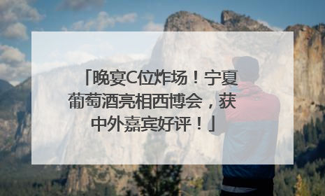 晚宴C位炸场！宁夏葡萄酒亮相西博会，获中外嘉宾好评！