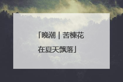 晚潮｜苦楝花在夏天飘落