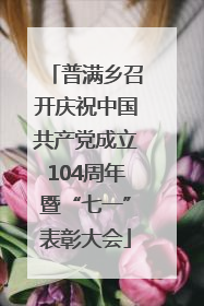 普满乡召开庆祝中国共产党成立104周年暨“七一”表彰大会