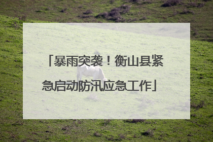 暴雨突袭！衡山县紧急启动防汛应急工作