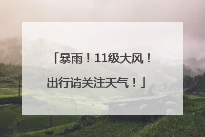 暴雨！11级大风！出行请关注天气！