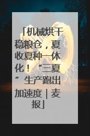 机械烘干稳粮仓，夏收夏种一体化！“三夏”生产跑出加速度｜麦报