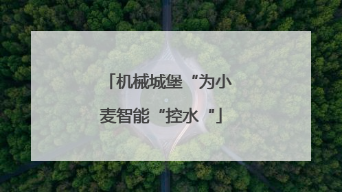 机械城堡“为小麦智能“控水“