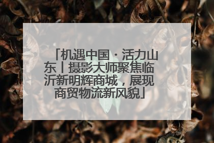 机遇中国・活力山东丨摄影大师聚焦临沂新明辉商城，展现商贸物流新风貌