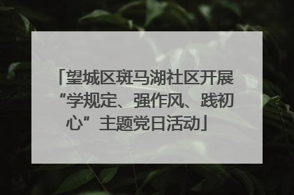 望城区斑马湖社区开展“学规定、强作风、践初心”主题党日活动