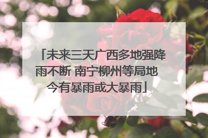 未来三天广西多地强降雨不断 南宁柳州等局地今有暴雨或大暴雨