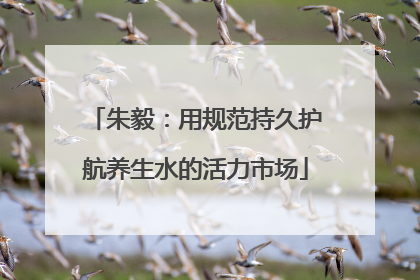 朱毅：用规范持久护航养生水的活力市场