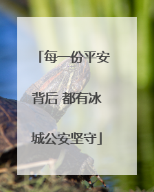 每一份平安背后 都有冰城公安坚守
